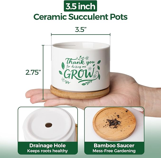 T4U Thank You for Helping Me Grow, 1 Pack Thank You for Helping Me Grow Gift for Teacher, Mini Succulent Pots for Plant Lovers,Thanksgiving Teacher Gift, Small Cactus (3.5 Inch)