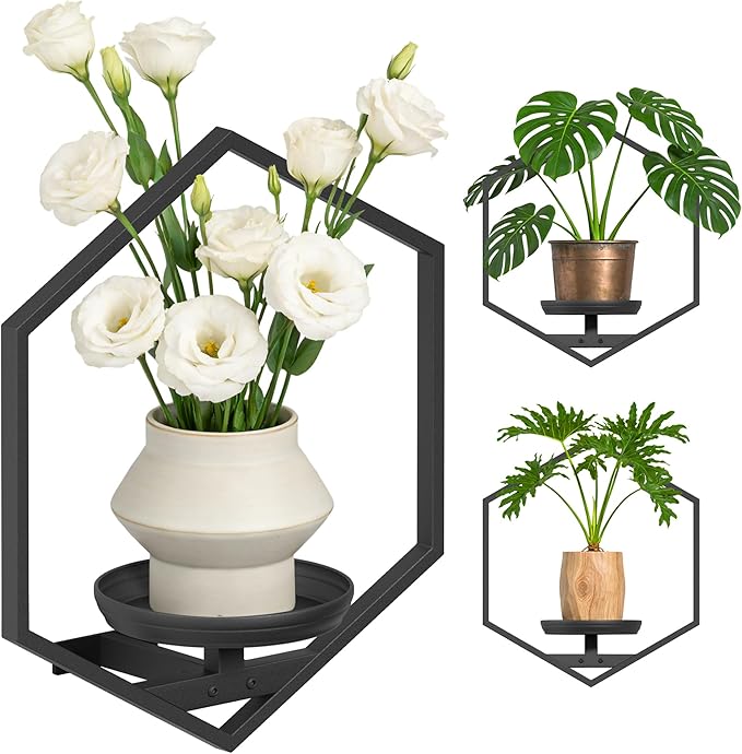 BXF Hexagon Floating Frame Plant Stand - 3 Pack Metal Wall Mounted Planters - Minimalist Geometric Hanging Decor for Indoor Succulents & Air Plants (Black, 3 Pack)