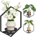 BXF Hexagon Floating Frame Plant Stand - 3 Pack Metal Wall Mounted Planters - Minimalist Geometric Hanging Decor for Indoor Succulents & Air Plants (Black, 3 Pack)