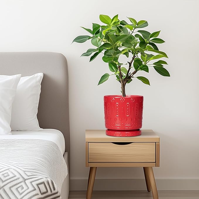 Eightpot 6 Inch Plant Pot, Ceramic Flower Pots for Indoor Outdoor Plants, Round Pots for Plants with Drainage Hole and Tray, Boho Decorative Planter, Kitchen Decor, Gardening Gifts for Women, Red