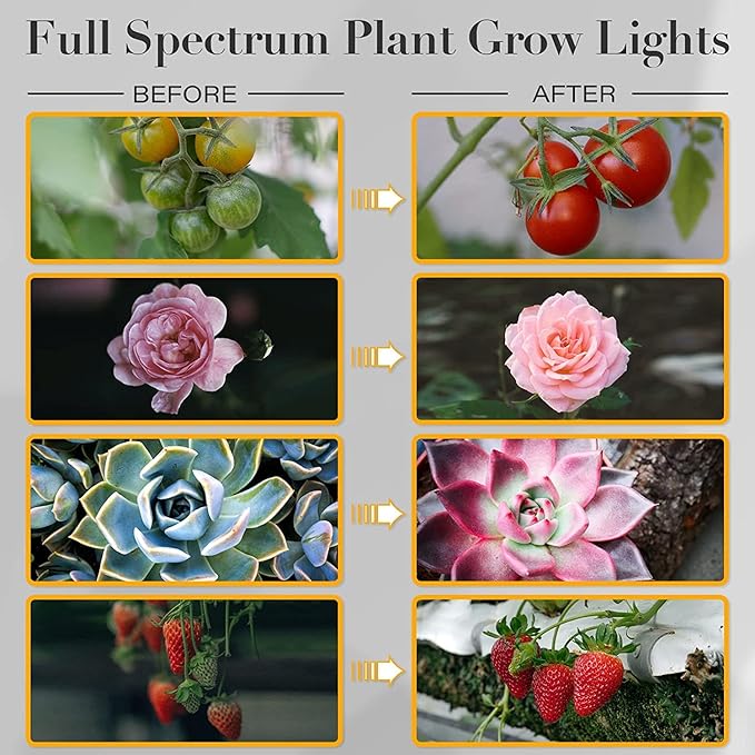 iPower LED Grow Light, 6000K Full Spectrum Clip Plant Growing Lamp with 126 White Red LEDs for Indoor Plants, 5-Level Dimmable, Auto On Off with 4/8/12H Timer
