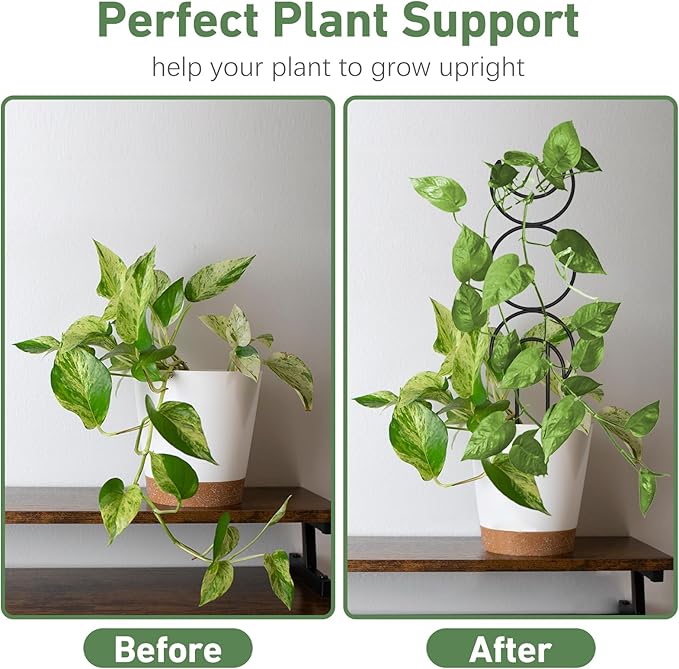 Plant Trellis for Climbing Plants Indoor, Small 14.6in Metal Trellis for Potted Plants, Mini Houseplant Hoya Pothos Trellis with Ties, Set of 4p Different Shap, Black