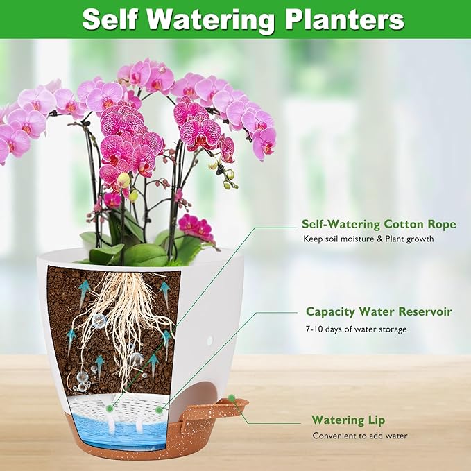 Vanslogreen 6 Inch Orchid Pots with Holes, 3 Pack Self Watering Planters for Orchids Plastic Orchid Pot Plant Flower Pots for Orchids Indoor Outdoor (Multicolor)