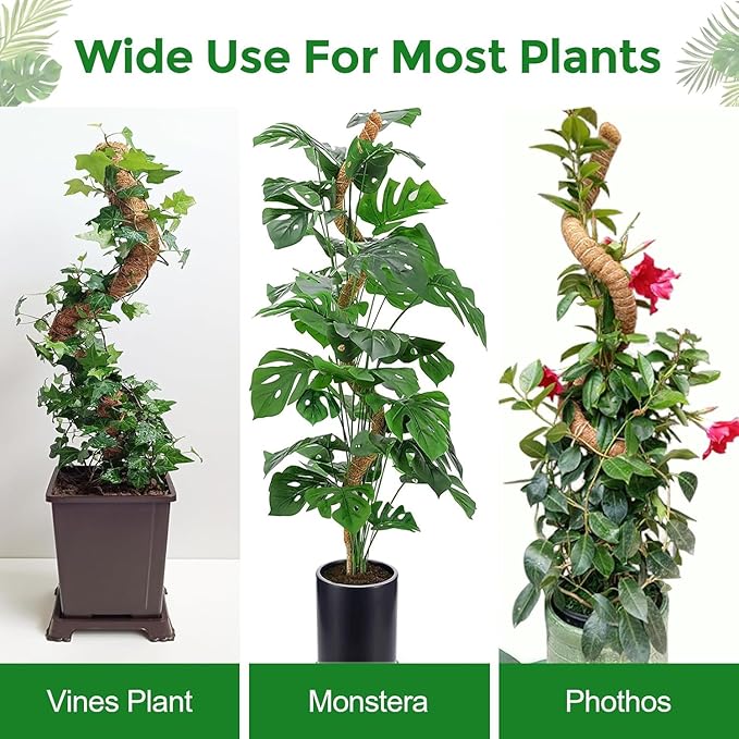 1 Pack 48'' Bendable Moss Pole Monstera Plant Support for Climbing Indoor Plants - Stakes for Potted Climbers (1)