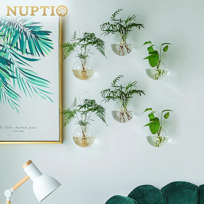 NUPTIO Wall Hanging Planters Terrarium: 12 Pcs Clear Glass Wall-Mounted Vases for Indoor Office Garden Living Room - Oblate Plant Pots Hydroponic Containers Propagation Stations for Flowers