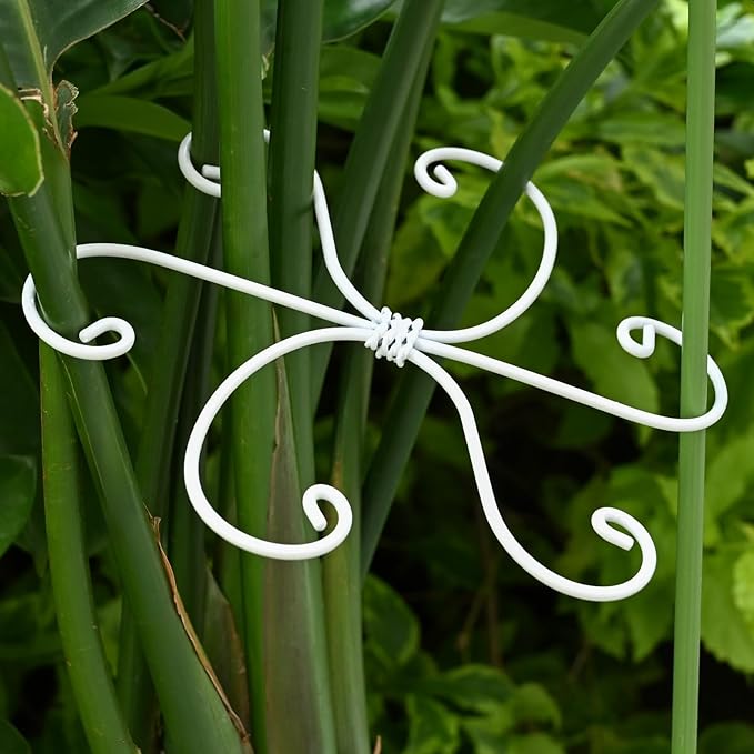 Yohsnor 6.5 * 6.5in Monstera Plant Support Hook 5PCS - Durable Stabilizer & Leaf Holder for Indoor Plants, Flexible Installation & Soft Grip Design - Perfect for Fishbone Cactus and Other Houseplants