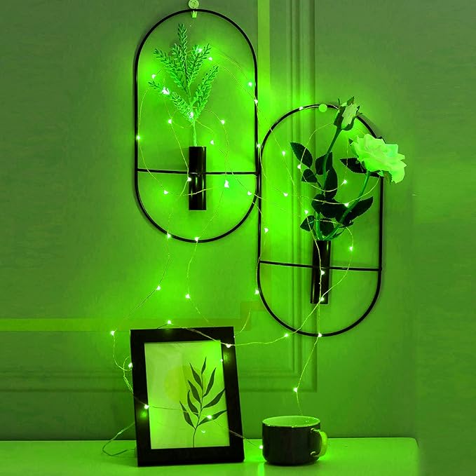 Ariceleo Mini St. Patrick's Day Fairy Lights Battery Operate, 2 Pack Copper Wire 3*AAA Battery Powered Led Starry Fairy String Lights for Bedroom, Christmas, Party, Wedding, Decoration(5m/16ft Green)