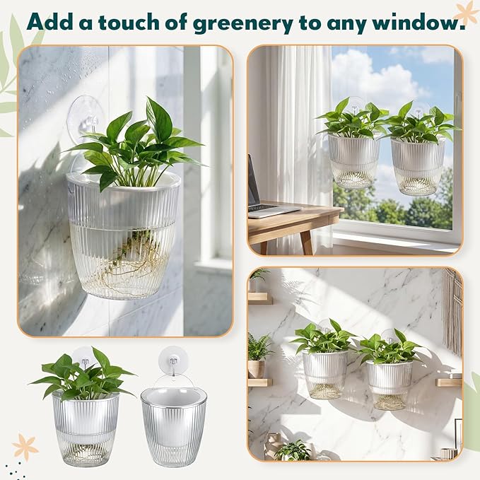 Hushee 4 Set Window Hanging Propagation Stations with Suction Cups Plastic Propagation Vases Propagated Plant Holder Wall Pots for Indoor Plants Office Home Garden Decoration Lover Gift (Clear)