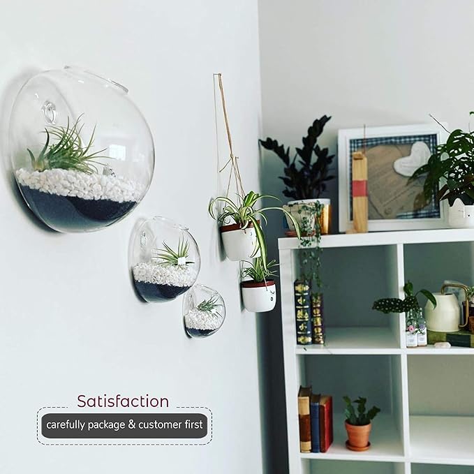 WGV Wall Hanging Planter Terrarium, Diameter 6", Clear Mounted DIY Succulents Air Glass Floral Container Vase, Tea Light Votive Candle Holder for Decoration 1 Piece
