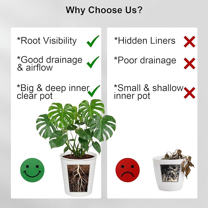 6 Pack of 6in Plastic Cachepot with 6 inch Clear nusery Pot - self Watering Indoor Planter with Drainage for Root Visibility,semi Hydro pots for repotting Monstera,Orchids,Aroid,White