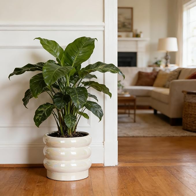 8 Inch Ceramic Plant Pots for Indoor Plants, White Flower Pot, Rainbow Pearl Glaze Planter with Planters for Plants with Drainage Hole