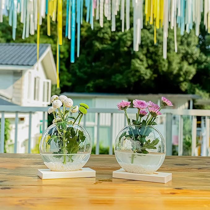 Kingbuy Round Glass Desktop Planter with Wooden Stand - Propagation Vase for Hydroponic Plants, Spider Plants, Pothos in Home Office Decor, 2-Pack, Beige