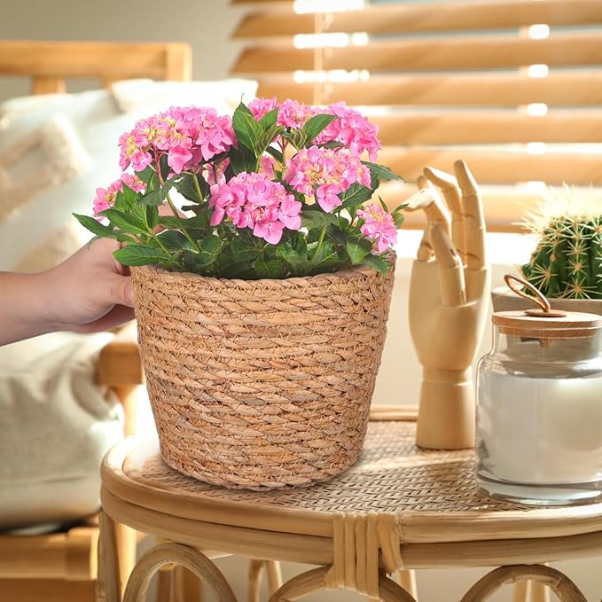 BESPORTBLE 2pcs Woven Rattan Flower Basket for Indoor Plants Decorative Plant Baskets Design Multi-Functional Storage