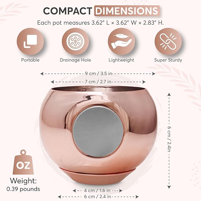 Magnetic Plant Pot - Unique Window Planter for Succulents, Indoor & Outdoor Greenery - Self-Adhesive Magnet Attachment, Drainage Holes, Detachable Reservoir - Rose Gold