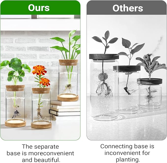Plant Propagation Stations 3 Pack Plant Terrarium, Propagation Jars Glass Hydroponic Vases for Indoor Plants, Desktop Glass Plant Pot with Lid & Wooden Stand Gardening Gifts for Women Mom Plant Lovers