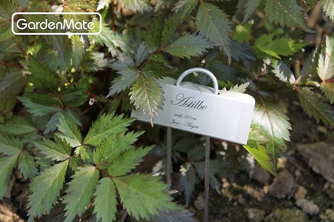 GardenMate 100-Pack Weatherproof Mini Metal Plant Labels, Height 5 3/4'', Label Area 7/8'' x 2 1/2''