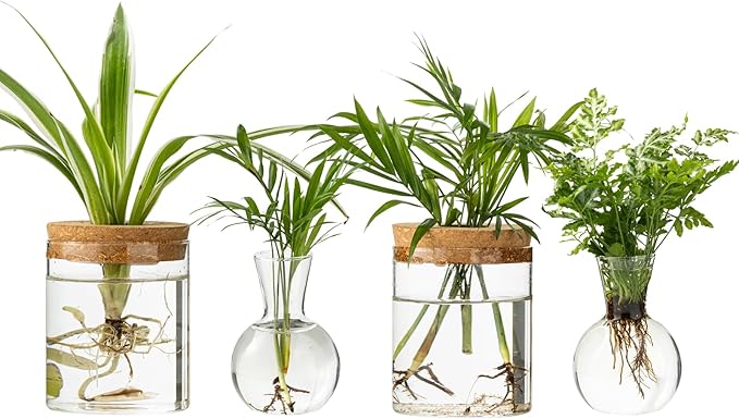 Plant Propagation Stations, 2 Style Glass Planter Terrariums, Propagation Vases for Plant, Plant Propagation Jars for Hydroponic Planter Home Office Tabletop Decoration (4)