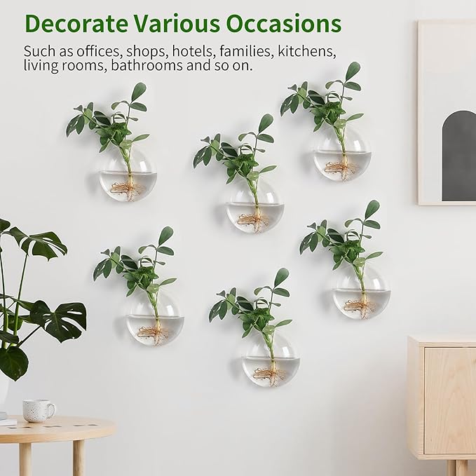 Wall Propagation Planters 6 Pack Glass Wall Planters for Indoor Plants, Wall Plant Holder Plant Propagation Wall Hanging, Glass Flower Vase Indoor Hydroponic Decor