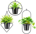 Geometric Wall Planters for Indoor Plants Set of 3 Black Metal Wall Mounted Plant Holder (Diamond & Oval & Round Shapes) with 5 Inch Flower Pots, Modern Hanging Planters for Indoor Decor