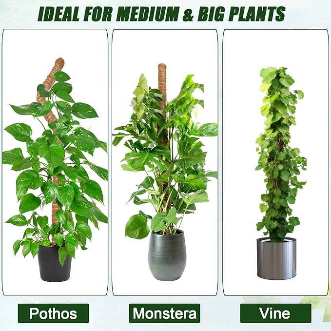 Moss Pole 31.5 Inch, 6 Pack Bendable Moss Pole for Plants Monstera, Moss Poles for Climbing Plants Indoor, Coconut Fiber Plant Poles Support Sticks for Potted Plants (31.5inch × 6pcs)