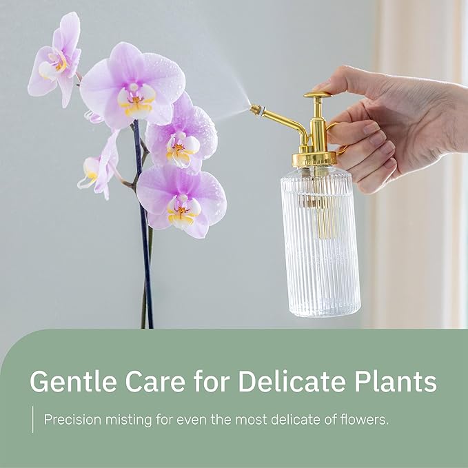 Glass Plant Mister for inside, Mister for Plants, Plant Sprayer Mister, Decorative Plant Mister Spray Bottle with Adjustable Nozzle for indoor plants (230ml/ 7.8oz) - Clear