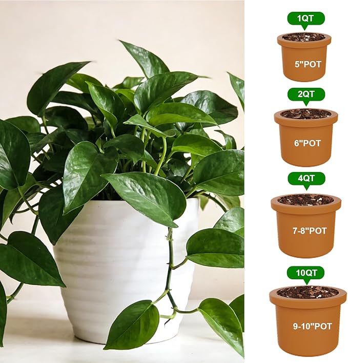 Pothos Potting Soil - Pure Natural Organic Soil 1qt, Well-Draining and Aerated for Healthy Indoor Plants
