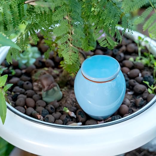 MOUGIGI Self-Watering Planter Insert - 2 Pack Automatic Watering System for Indoor and Outdoor Potted Plants - Eco-Friendly Blue & Green Design with 300ml Capacity for Vacation Moisture Control