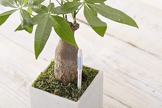 Sustee Aquameter (Small White Refillable - Bundle of 2) - House Plant Soil Moisture Meter, Humidity Sensor Probe, Water Level Indicator - Best for Indoor Potted Plants