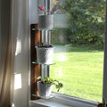 Daniel's Plants 3 Tiered Window Sill Plant Shelf (Real Wood & Glass) | Renter Friendly Window Shelves | Removable Indoor Plant Stand with Hook-and-Loop | Easy Setup | Solid Wood (Woodland Brown)