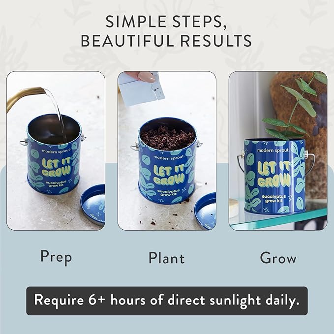 Modern Sprout Complimentary Seed Starter Grow Kits (Pack of 3) - Unique Gift for Plant Lovers - Includes Organic Spruce Eucalyptus and Agave Seeds - Plant and Gardening Gifts that Grows with Love