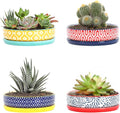 Selamica Ceramic Succulent Pots, Shallow Succulent Planters with Drainage Hole & Saucer, Indoor Plant Pots for Cactus, Home Decor，Assorted Colors,6 inch，Set of 4