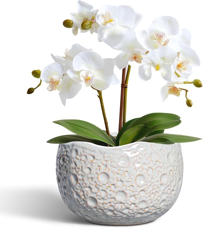 Ceramic Plant Pots 6 Inch - Ceramic Orchid Pot with Drainage Hole and Plug, Unique Pots for Plants Indoor Outdoor, Decorative Modern Planter, Living Room Decor, Plant Lovers Gifts, Grey
