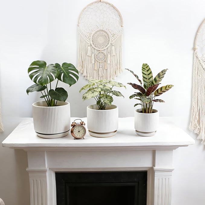 Ceramic-Flower-Pots-Sets-with-Saucer, 5/6/8 inch Small Planters for Indoor Plants with Drainage Hole, White Vertical Stripe Plant Pots for Home Decor, Outdoor Garden Pot For Succulent Cactus Herb