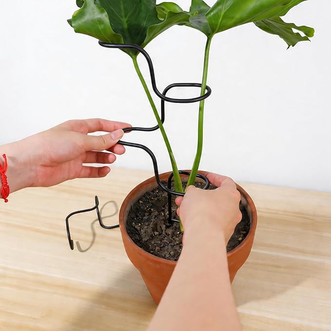 3PCS Indoor Plant Support Stakes - Sturdy Metal Trellis for Garden Flowers & Monstera, Durable & Easy to Use, Perfect for Small to Medium Indoor Plants, Ideal Gift for Plant Lovers!