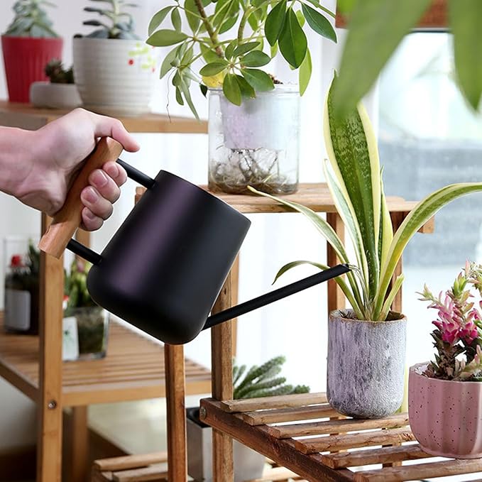 1L/33.8oz Wood Handle Long Spout Watering Can Stainless Steel Plant Watering Pot Garden Green Plant Flower Watering Kettle for Indoor Outdoor Plants Garden Flower (Black)