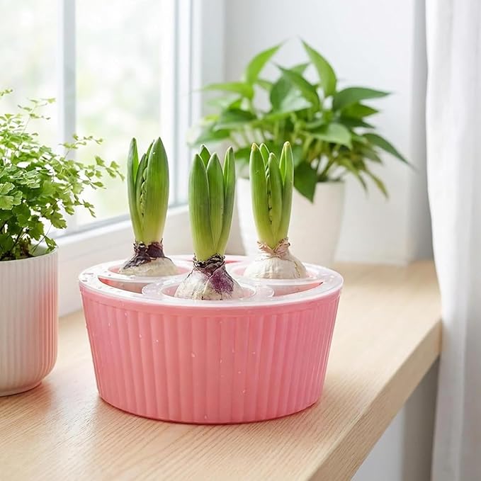 Tulip Planter, Planting Pot 3/5 Hole Design Vertically Ribbed Body Sturdy Base, Bulb Planter for Hydroponic Growing for Tulips Daffodil Bulbs(3Hole-WH+PK)