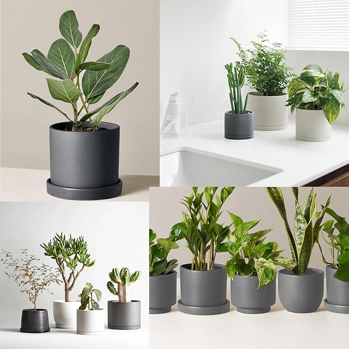 Yukfona Ceramic Plant Saucer Pot Tray 10 Inch, Planter Saucers 4 5 6 7 8 9 10 11 12 13 Inch for Indoors Outdoor, Durable Sturdy Flower Drainage drip Water Tray for Glazed Pots Base (10.7 Inch-Grey)