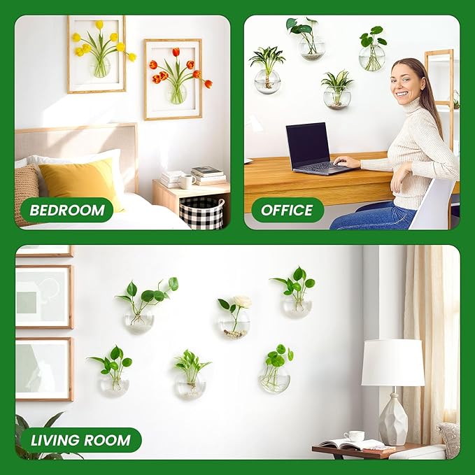 DomeStar 6PCS Wall Vases, Clear Planter Terrarium Station Wall Mounted Hanging Glass Vases for Home Office Living Room Decor Hydroponics Plants Propagation