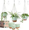 Bouqlife Larege Hanging Planters with Macrame Plant Hangers for Indoor Outdoor Plants 3 Set 10" / 8" / 7" Self Watering Pots Hanging Baskets Flower Pot Holders 3 Different Size Green Large