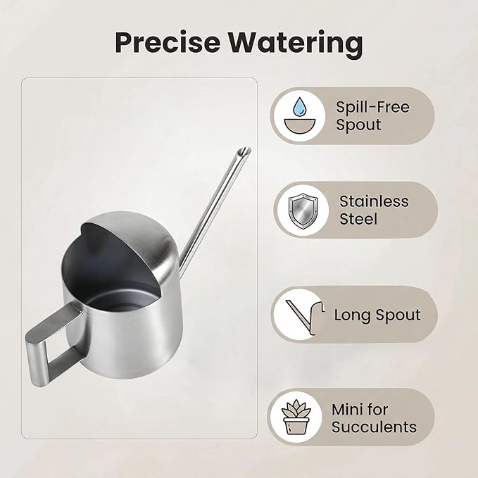 IMEEA Tiny Watering Can for Indoor Plants Bonsai Tree Stainless Steel Small Watering Can Succulents, 11oz/300ml