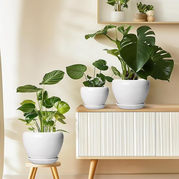 Ceramicfor Ceramic Pot for Plants - 8 Inch Ceramic Planter for Indoor Plants, Modern Round Planter with Drainage Hole and Saucer, Plant Lover Gifts, Home Office Garden Decor, White