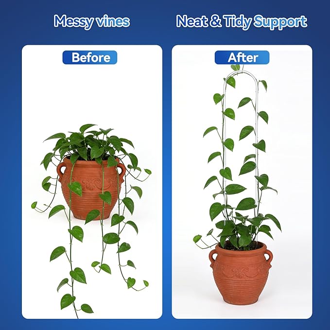 2 Pack U-Shaped Clear Acrylic Plant Supports - 23 inches Indoor/Outdoor Climbing Vine Trellis for Potted Plants, Ideal for Ivy & Tropical Houseplants,Plant Support Hoya Trellis (Crystal, 23 inches)
