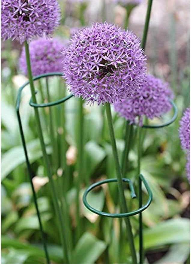 24 Inches Single Stem Plant Support Stakes Steel Garden Stakes Plant Atem Support, Pack of 20