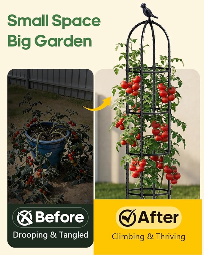 Joyhalo 2 Pack Trellis for Climbing Plants Outdoor, 6.2ft High Adjustable Garden Trellis for Flowers, Black Plastic Coated Steel Plant Stakes Use As Tomato Cage