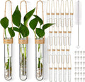 Baderke 24 Pack Plastic Hanging Propagation Tubes Propagation Station Vases Wall Hanging Plant Vase for Planters Hydroponic Office Garden Flowers Decor Lover Gift (Natural Color)