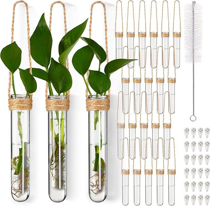 Baderke 24 Pack Plastic Hanging Propagation Tubes Propagation Station Vases Wall Hanging Plant Vase for Planters Hydroponic Office Garden Flowers Decor Lover Gift (Natural Color)
