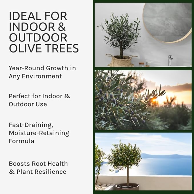 GARDENWISE Organic Olive Tree Potting Mix – Fast-Draining, Nutrient-Rich Soil for Indoor & Outdoor Olive Trees – Mediterranean Plant Care – Long-Lasting Formula (3 QUARTS)