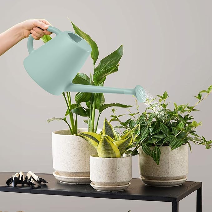 Indoor and Outdoor Watering Can - Long Spout -1/2 Gallon (64oz) - Light Green