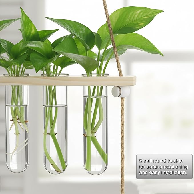 20Tubes Hanging Plant Propagation Station, 4-Tier Wall Mounted Wooden Plant Stand with 3cm Large Shatterproof Plastic Tubes for Pothos Plant Cuttings, Indoor Window Decor & Gifts for Plant Lovers