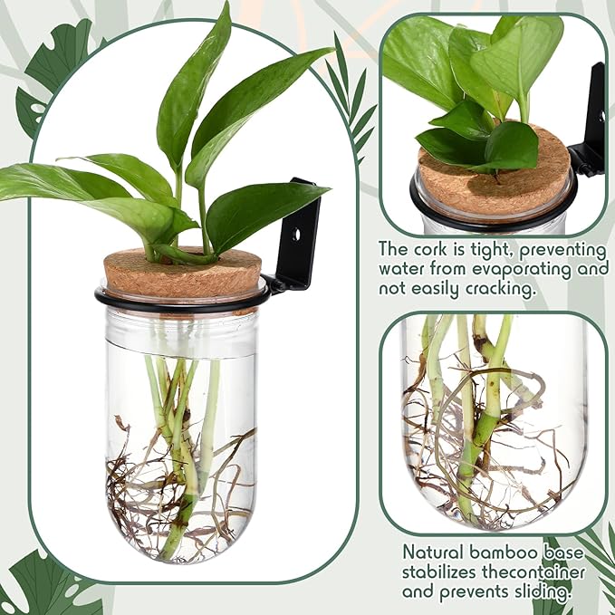 Baderke 6 Set Wall Plant Holder with Plastic Propagation Vases Hanging Planter Wall Mounted Set for Plants Growing in Water Hydroponic Artificial Plants Indoor Decor (2.48" X 4.72",Test Tube)